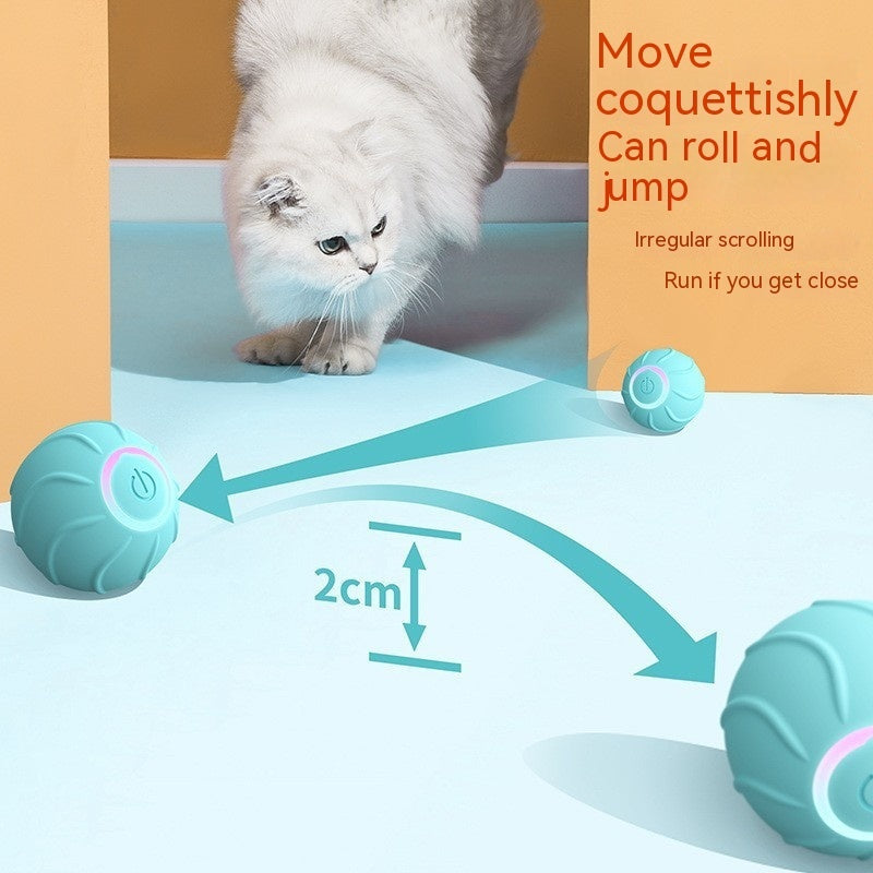 Pallina interattiva automatica per gatti