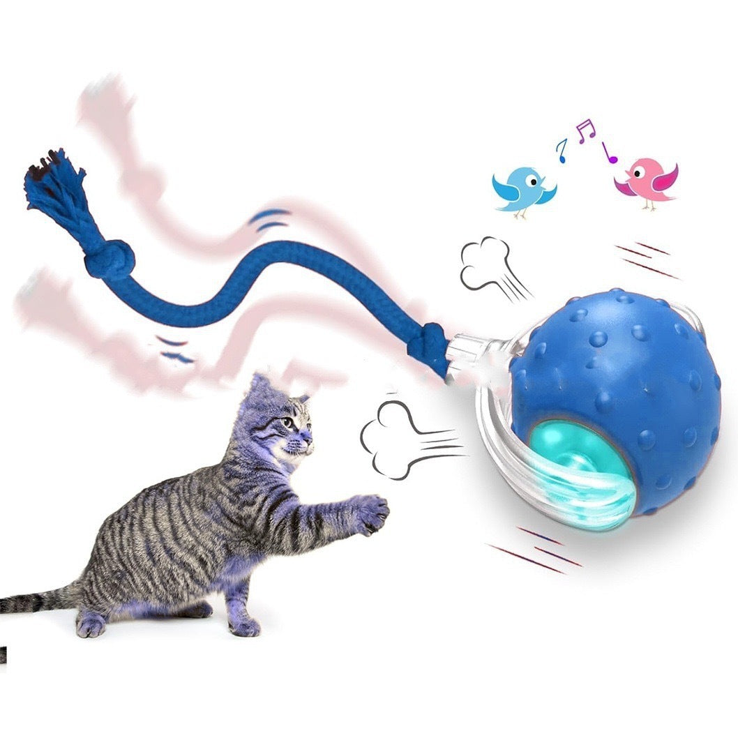 Gioco interattivo automatico per gatti con movimento intelligente