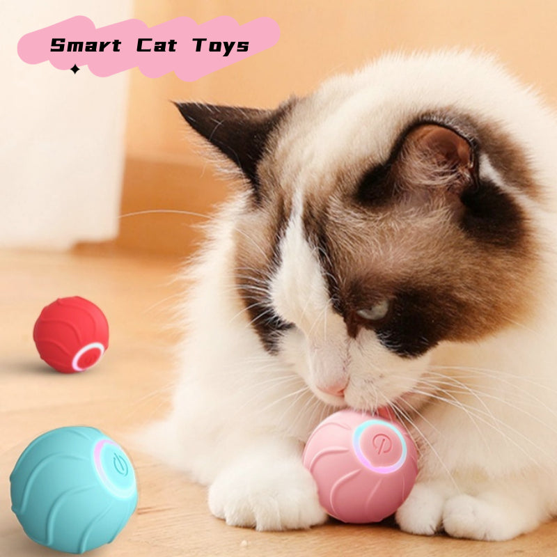 Pallina interattiva automatica per gatti