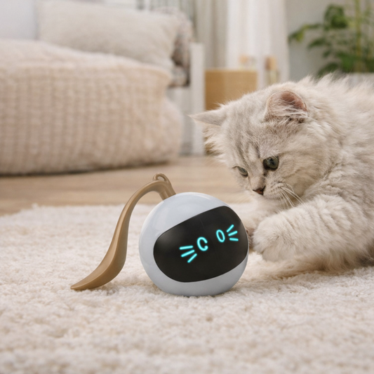 Gioco interattivo automatico per gatti
