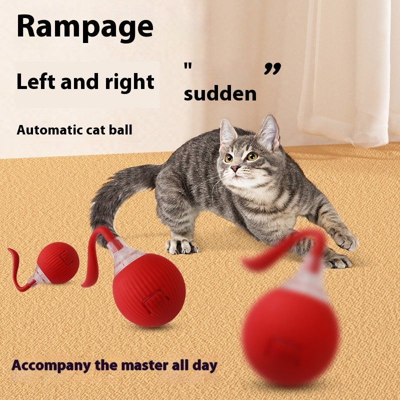Gioco interattivo automatico per gatti con movimento intelligente