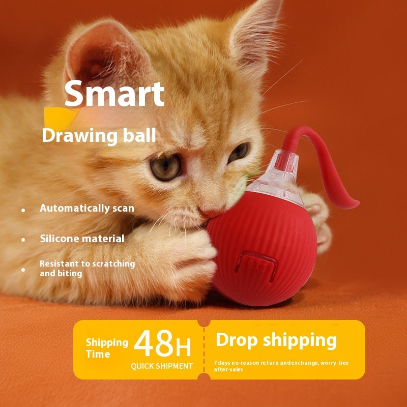 Gioco interattivo automatico per gatti con movimento intelligente