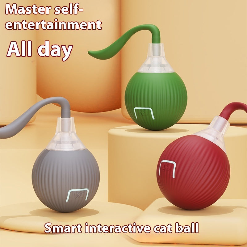 Gioco interattivo automatico per gatti con movimento intelligente