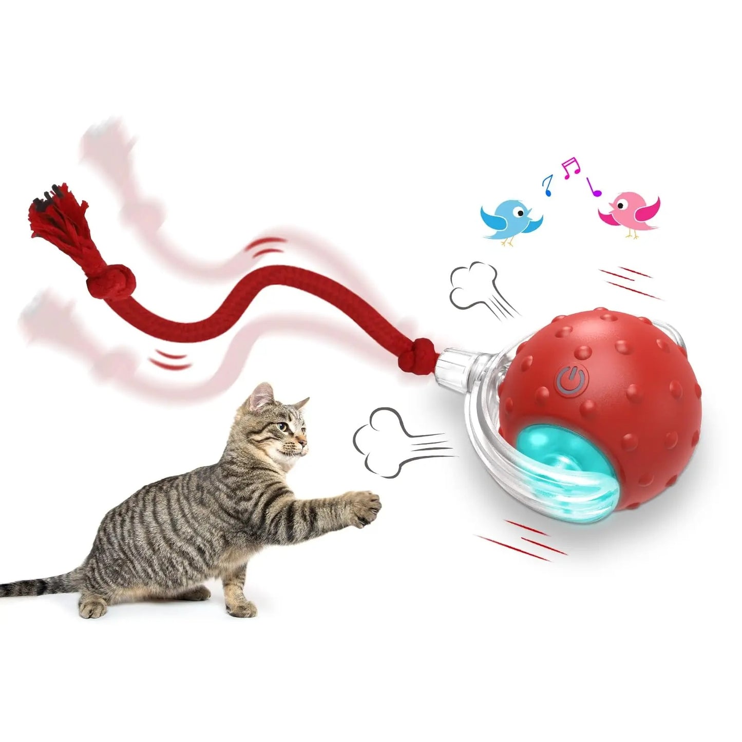 Gioco interattivo automatico per gatti con movimento intelligente